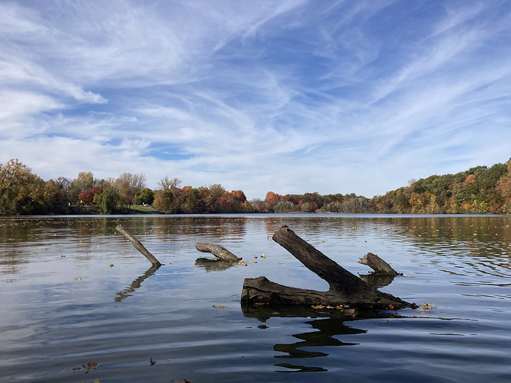 Phoenix Lake