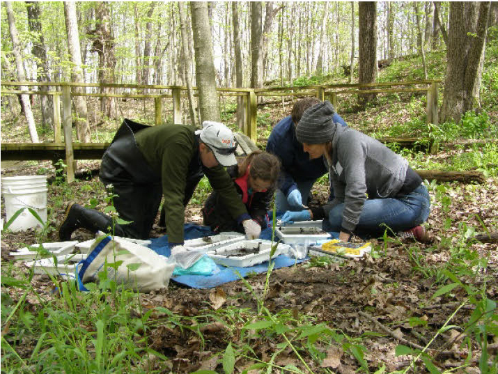 wetland grading